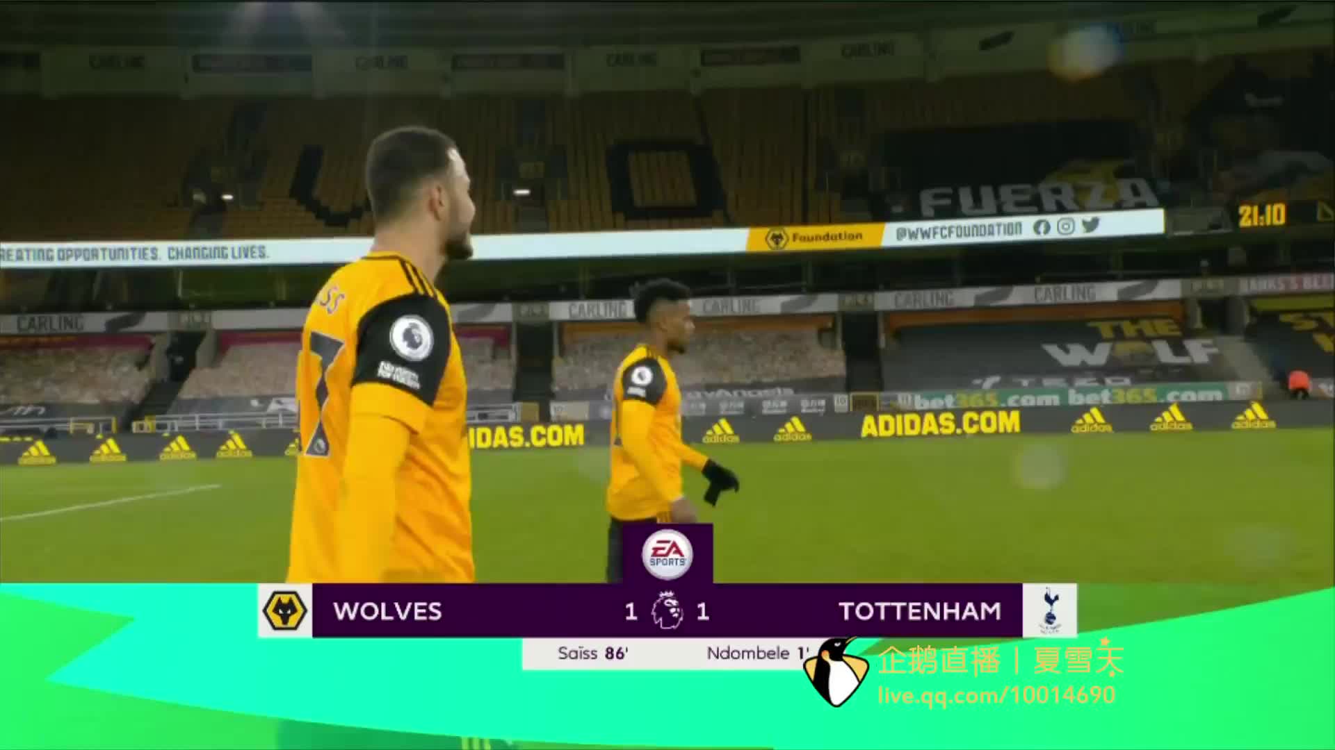 和适应性 和适应性